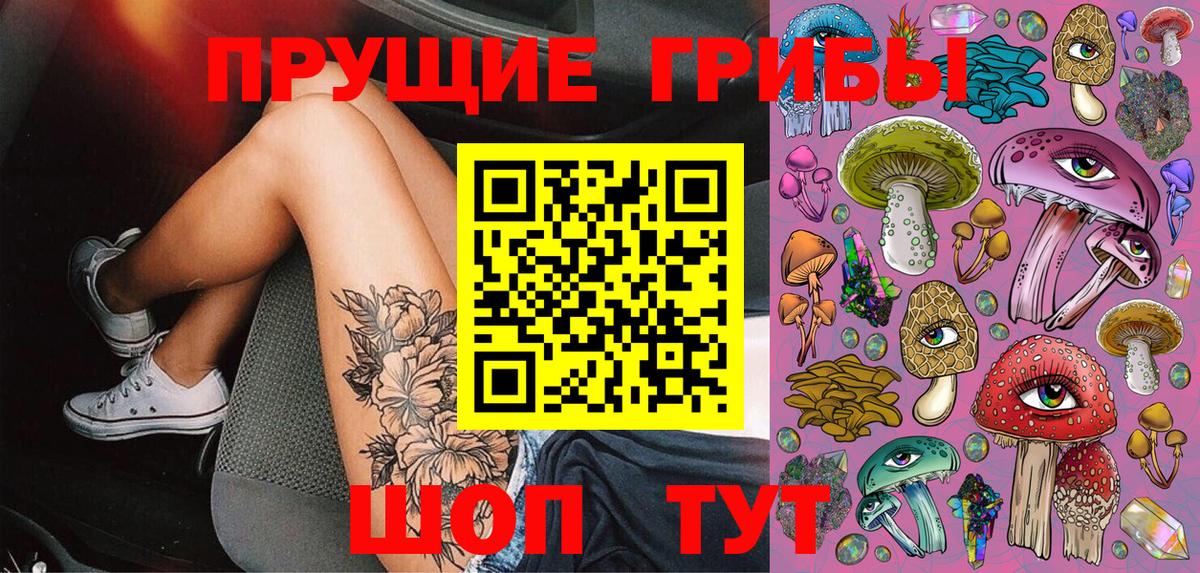 Псилоцибиновые грибы Psilocybine cubensis Мирный