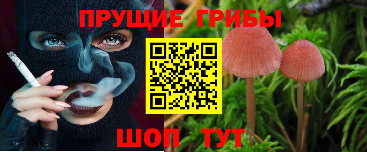 Псилоцибиновые грибы прущие грибы  Вход с VPN  Мирный 